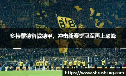 bsports官网入口