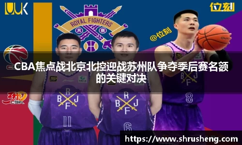 bsports官网入口
