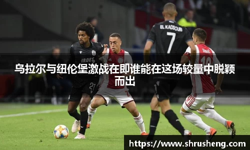 bsports官网入口