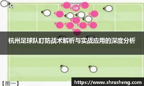 bsports官网入口