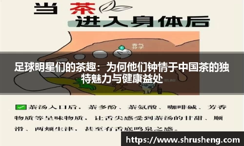 足球明星们的茶趣：为何他们钟情于中国茶的独特魅力与健康益处